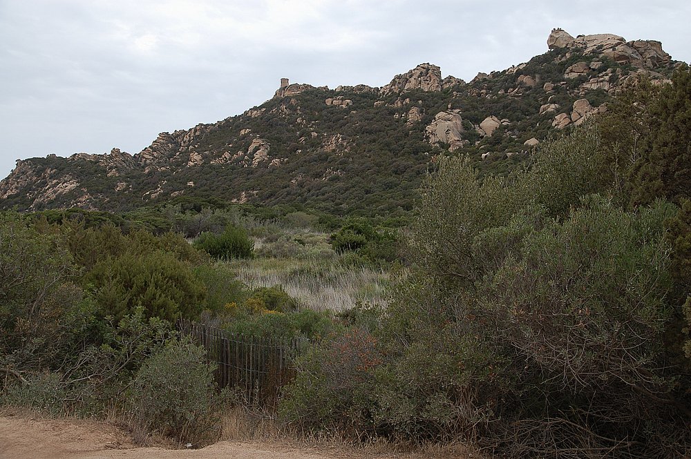 Sartenais, Cala di Roccapina 3.JPG